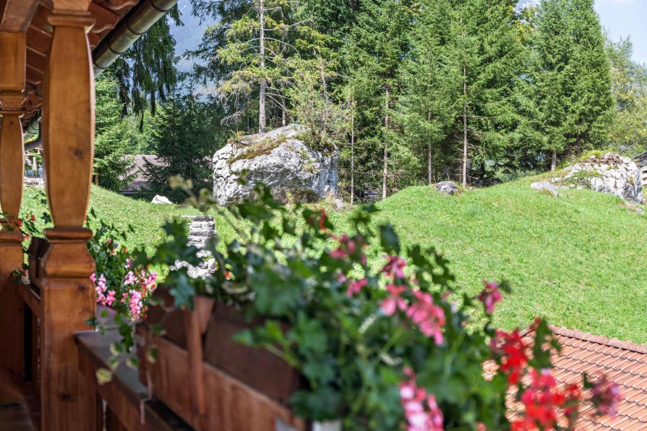 Ferienwohnung Edelweiss Grainau Εξωτερικό φωτογραφία
